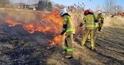 Lubelskie: Strażacy alarmują. Gwałtowny wzrost pożarów traw