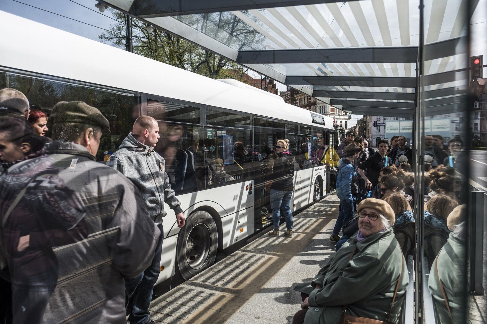Czworonożny przyjaciel w autobusie albo tramwaju? Żaden problem! Ale warto pamiętać o kilku zasadach. 
