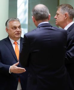 Wiceszef MON: Wierzę, że Węgry staną ramię w ramię z partnerami z NATO i UE