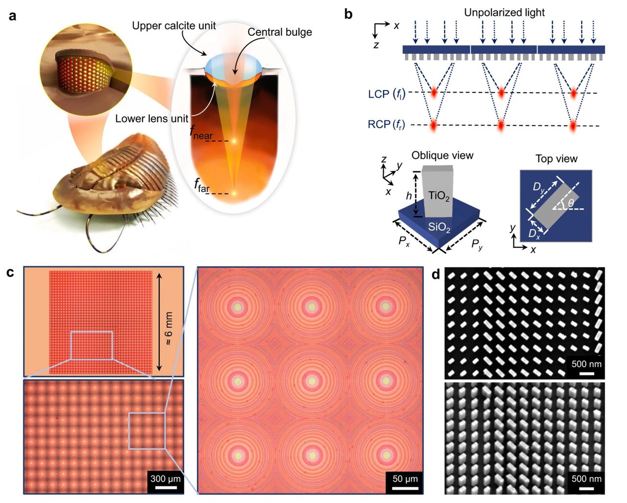 Struktura aparatu opartego o technologię nanofotonowego pola świetlnego.