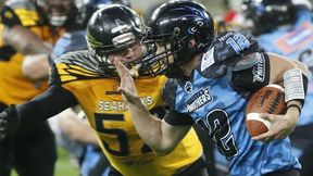 Amerykański finał, czyli Panthers Wrocław znów na szczycie