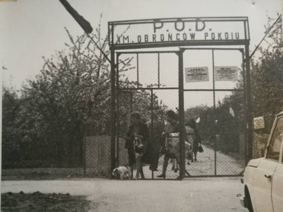 Rodzinne Ogrody Działkowe Obrońców Pokoju. W przyszłym roku świętować będą 120-lecie. I nic im już nie zagrozi