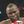 Adonis Stevenson