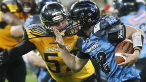 Amerykański finał, czyli Panthers Wrocław znów na szczycie