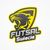 Futsal Świecie