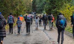 Ostrzeżenie dla turystów. Ataki hakerskie na miejsca noclegowe pod Tatrami