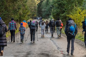 Ostrzeżenie dla turystów. Ataki hakerskie na miejsca noclegowe pod Tatrami