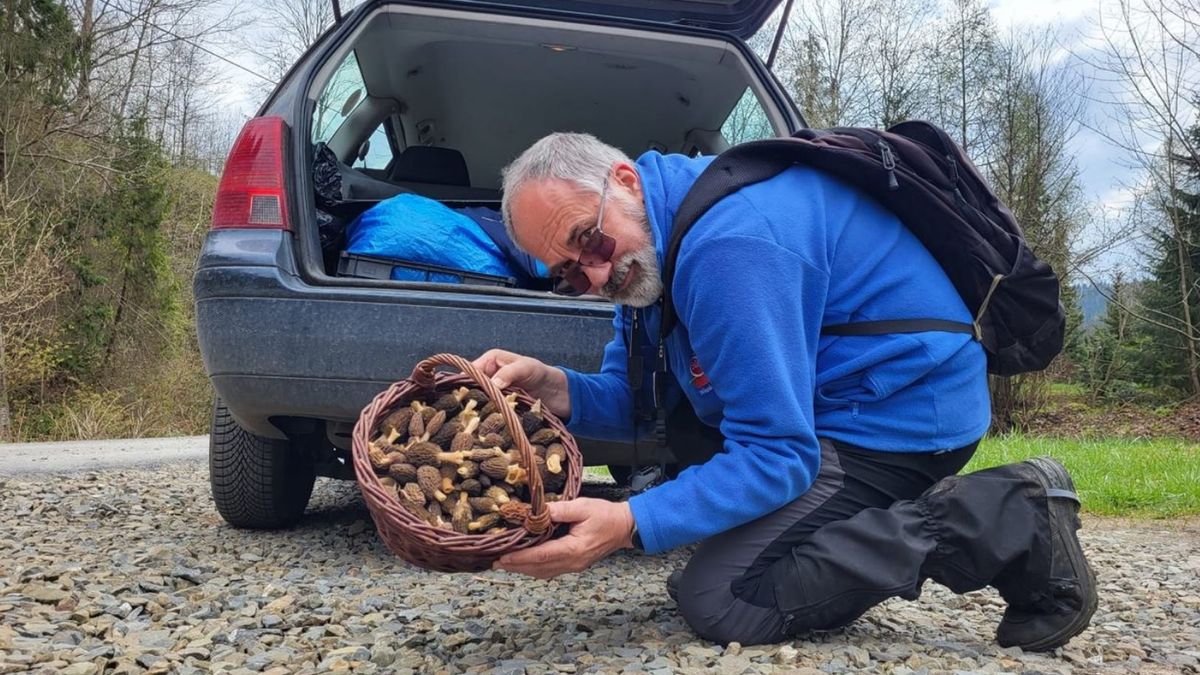 Sezon na smardze też się kończy