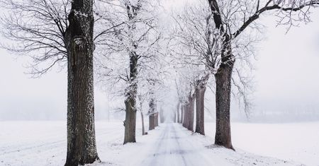 Pogoda wariuje. Kiedy skończy się mróz? Synoptycy podali datę