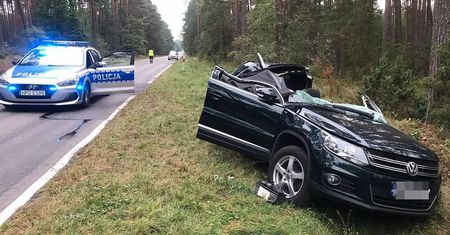 Drzewo upadło na volkswagena. Kierowca zakleszczony w aucie