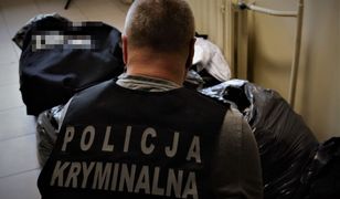 Podróbki warte 300 tys. zł. Pojawiły się w sklepach w Gdańsku