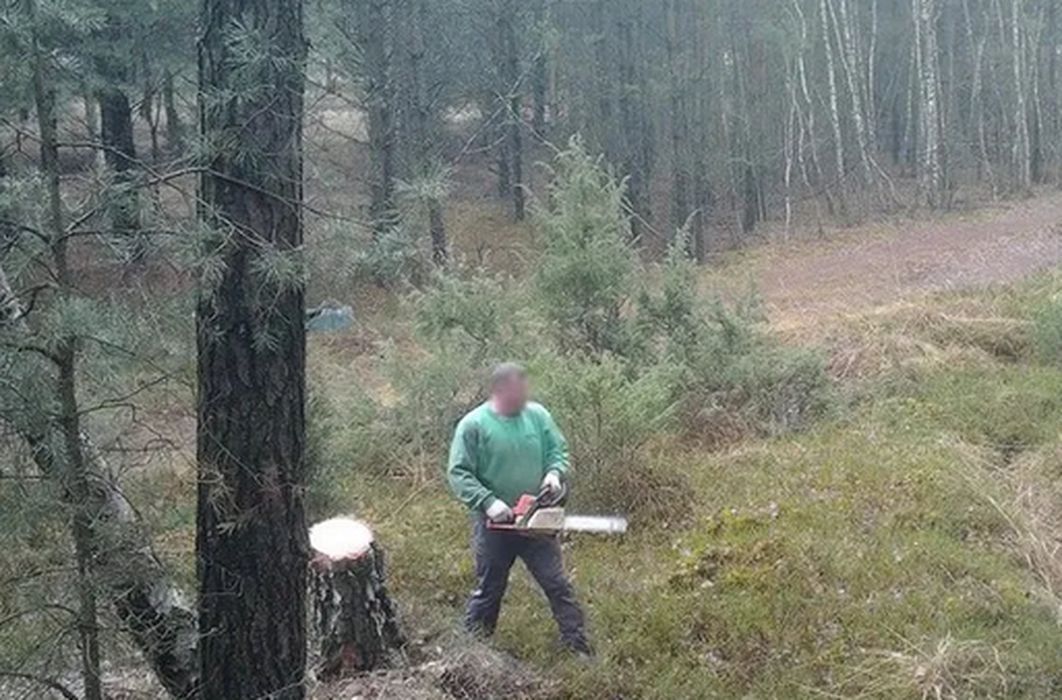 Czujne oko kamery zainstalowanej przez Straż Leśną z Nadleśnictwa Drewnica (RDLP w Warszawie) przyłapało na gorącym uczynku złodzieja drewna.