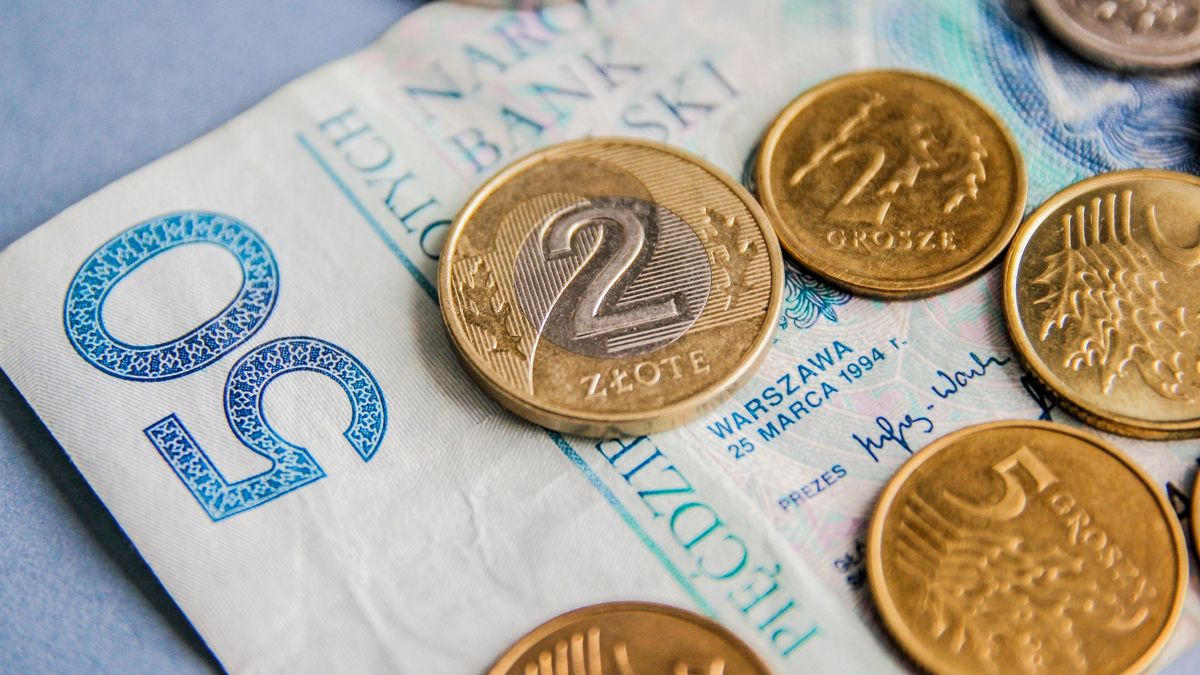 Polish currency
Polish currency
Kinga Krzeminska