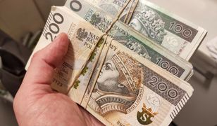Piramida finansowa. Oszukali setki osób. Mózg grupy przyznał się do winy