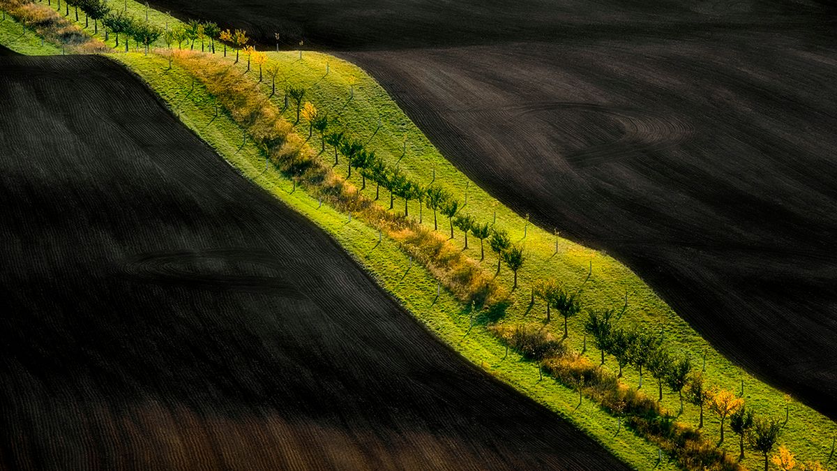 10 Polaków wśród laureatów Chromatic Photo Awards 2018! 1