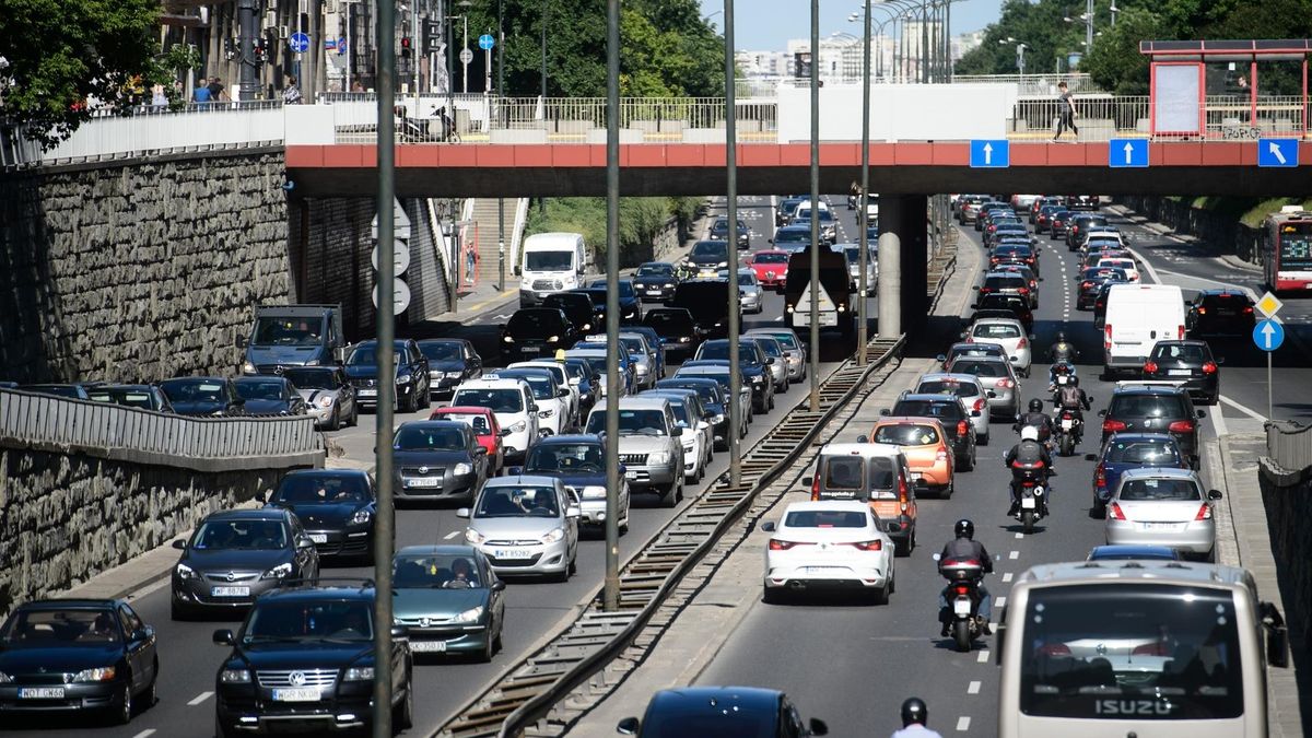 Panek dysponuje obecnie największą flotą samochodów wypożyczanych na minuty