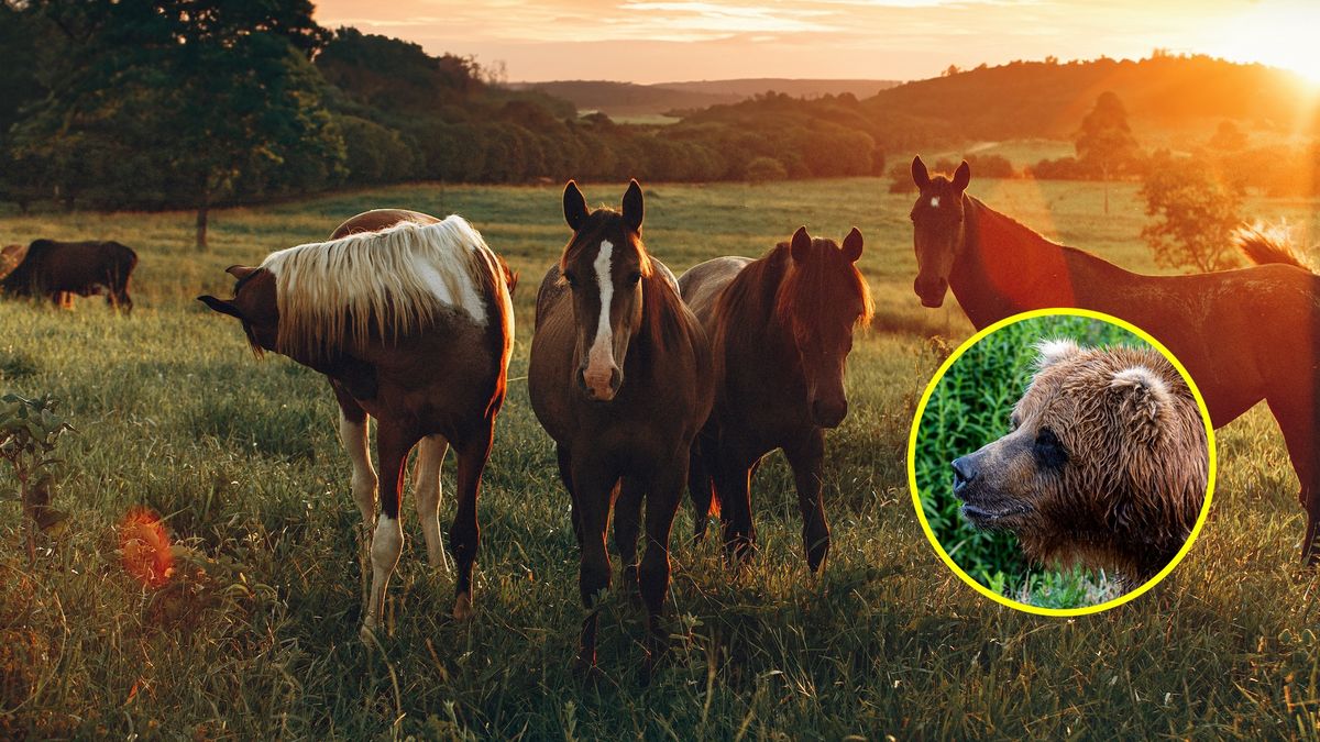 Zdjęcie ilustracyjne.