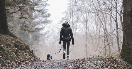 Uważaj na spacerach w lesie. Surowe kary za puszczenie psa luzem