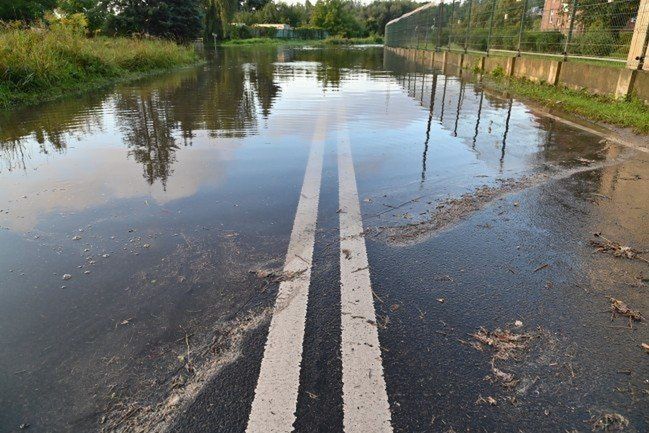Szczecin: Zalane posesje, połamane drzewa. To skutki nocnych opadów