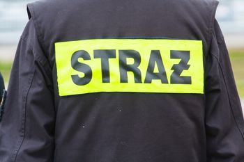 Brenno-Ostrów: Strażacy z Ochotniczej Straży Pożarnej w Brennie i Włoszakowic uratowali kotka. Futrzak wspiął się na drzewo i nie potrafił zejść
