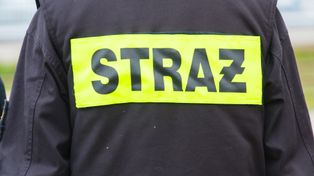 Brenno-Ostrów: Strażacy z Ochotniczej Straży Pożarnej w Brennie i Włoszakowic uratowali kotka. Futrzak wspiął się na drzewo i nie potrafił zejść