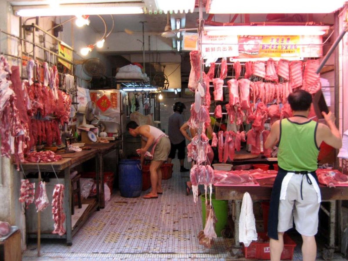 "Mieszkańcy południowych Chin od zawsze szerzej korzystają z królestwa zwierząt jako źródła pokarmu niż każdy inny lud na ziemi" - Karl Taro Greenfeld