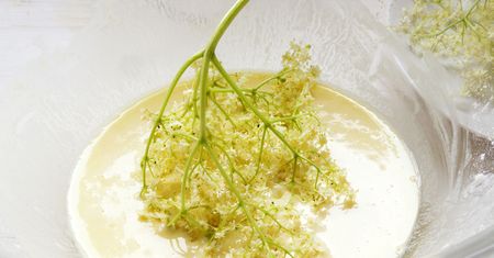 Kwiaty czarnego bzu smażone w cieście. Prosta przekąska w kilka chwil