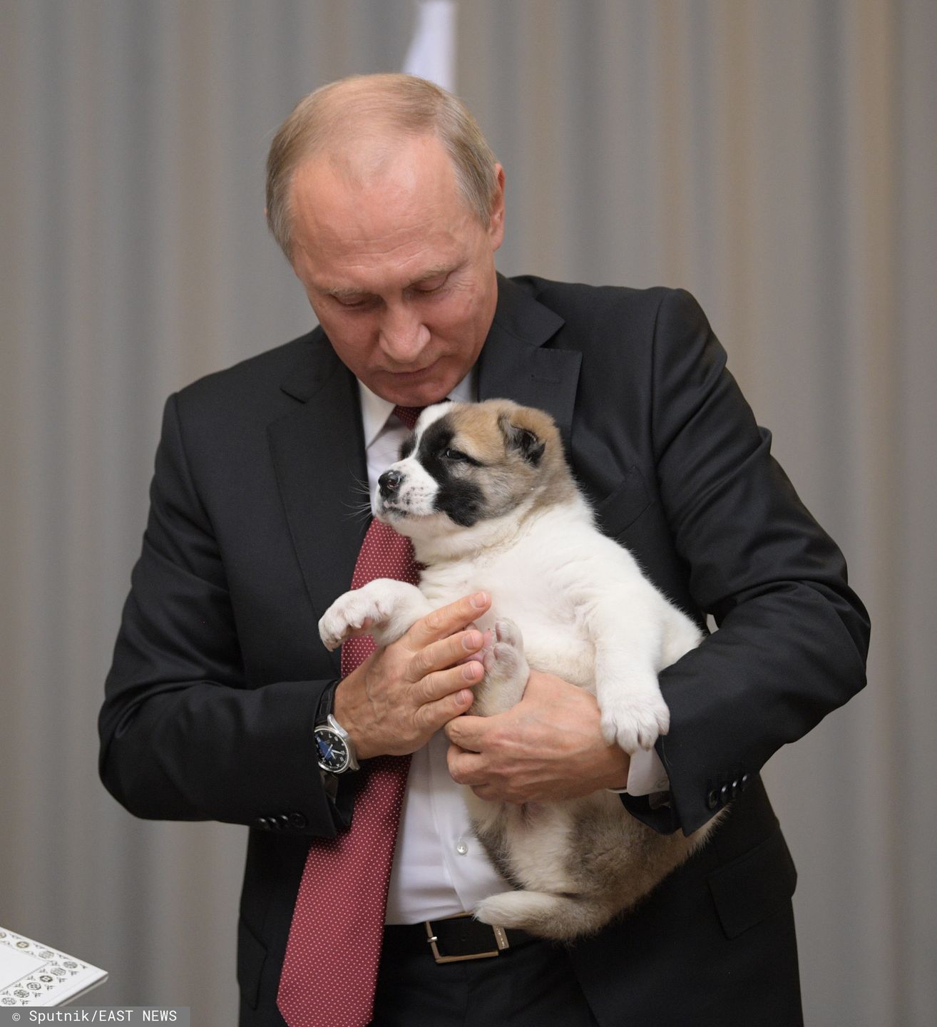 Kim Dzong Un sfotografowany na koniu. Nie jest jedyny 4
