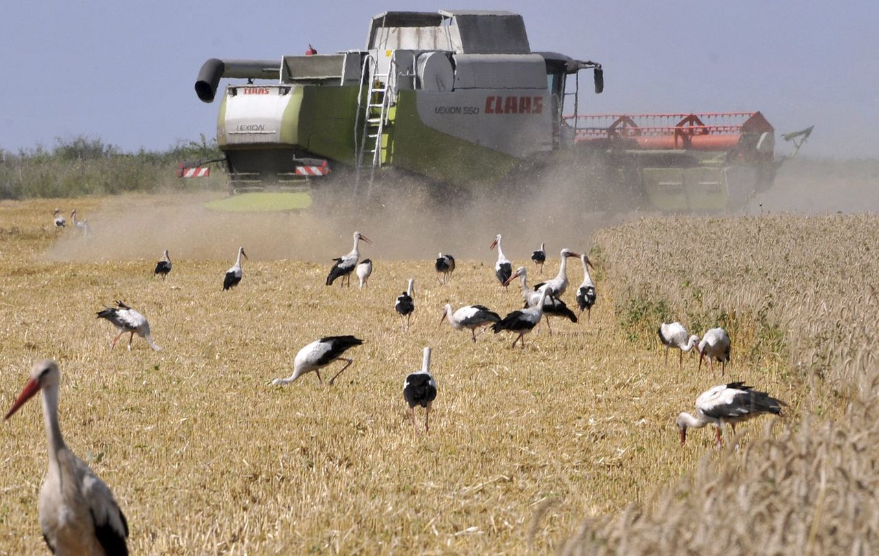 Władze podkreślają, że rolnikom i producentom grozi upadłość