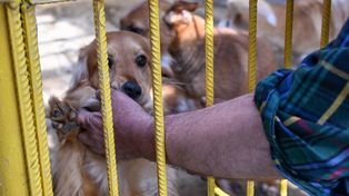 Nowy Targ: Protest i kontrmanifestacja o schronisko