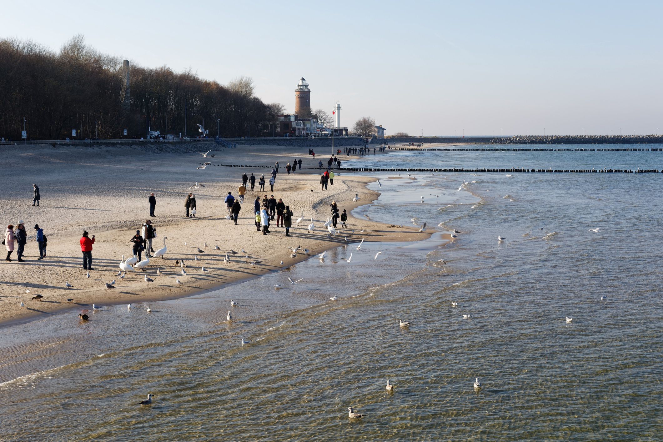 Zimowy spacer nad Bałtykiem