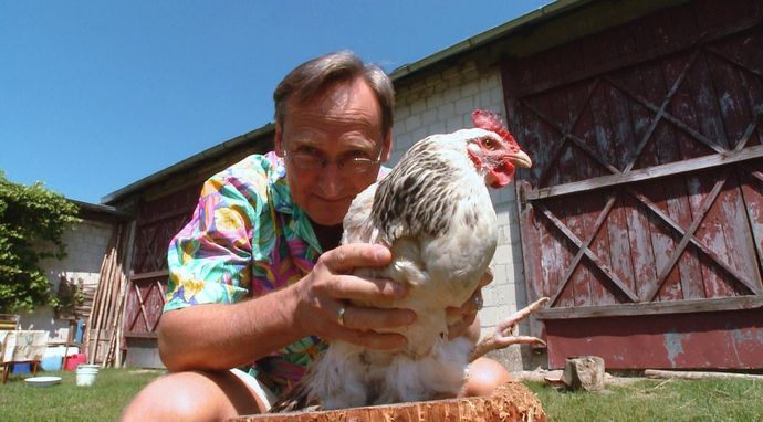 Wojciech Cejrowski. Kura