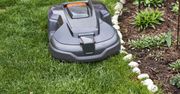 Roboty koszące sterowane smartfonem. Jakie modele wybierają ogrodnicy?