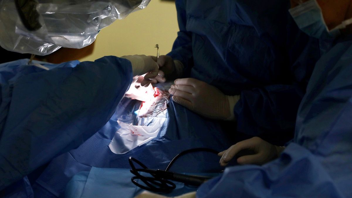 Krążenie w penisie przywrócono po 23 godzinach