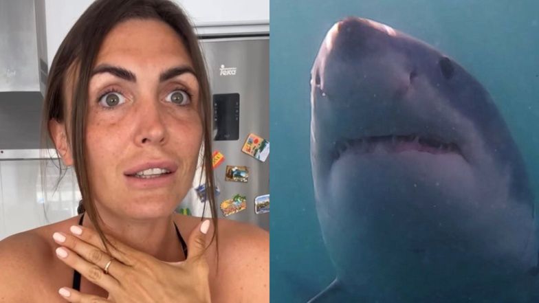 Rekin na plaży nieopodal domu Magdy Pyznar z "Warsaw Shore"