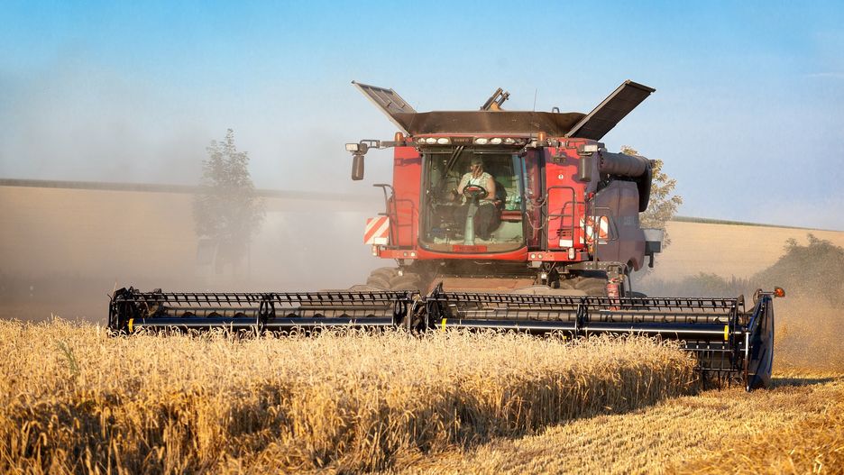 rolnictwo, kombajn, zboże