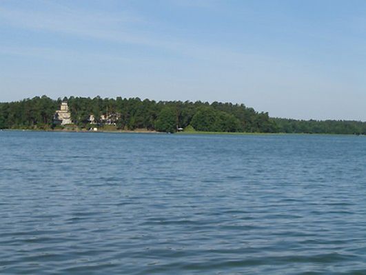 Obraz