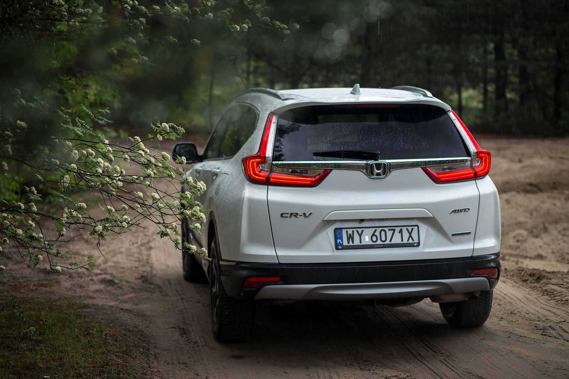 Honda CR-V Hybrid (2020) (fot. Mateusz Żuchowski)