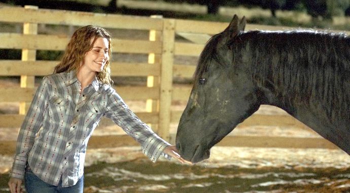 Flicka