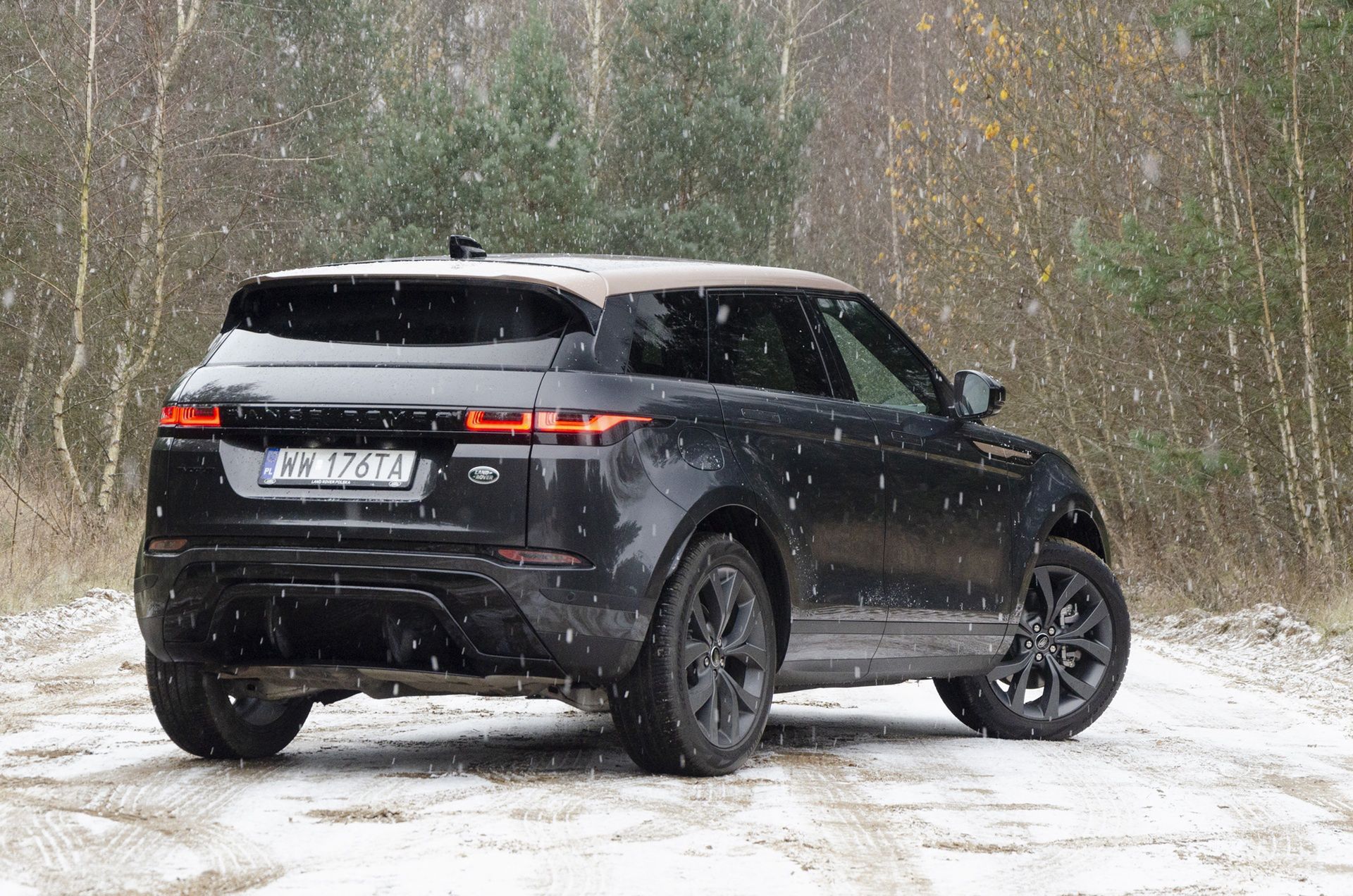 Alfa Romeo Tonale vs. Range Rover Evoque