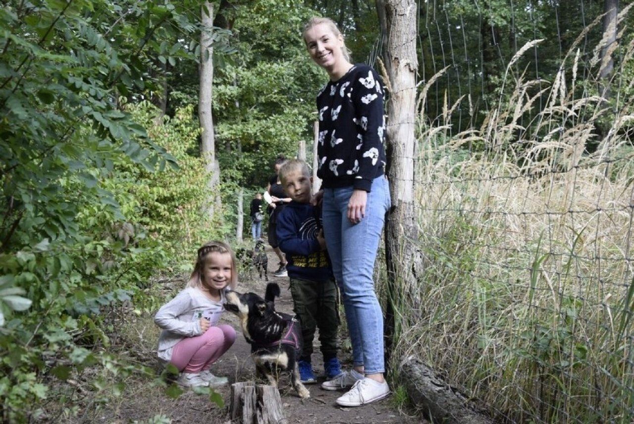 Wyjątkowy bieg w schronisku dla zwierząt. Akcję wspierają znane osoby