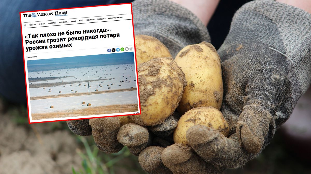 Rosjanie mają problem z uprawami zbóż