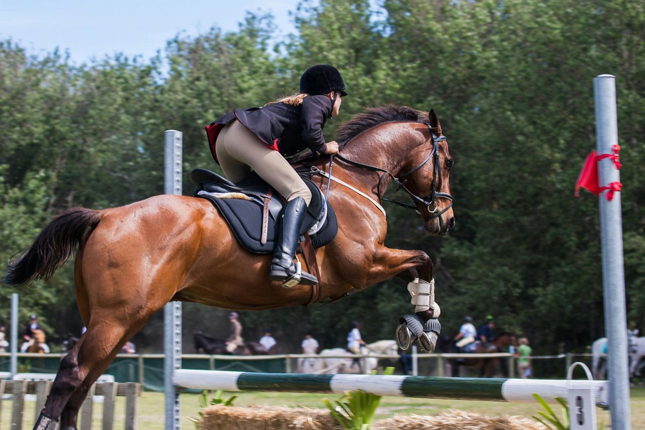 Tarnów: Sport, tradycja i wyjątkowe widowisko dla miłośników koni