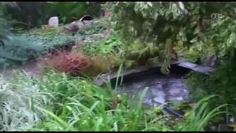 Powódź w regionie krasnodarskim i rostowskim