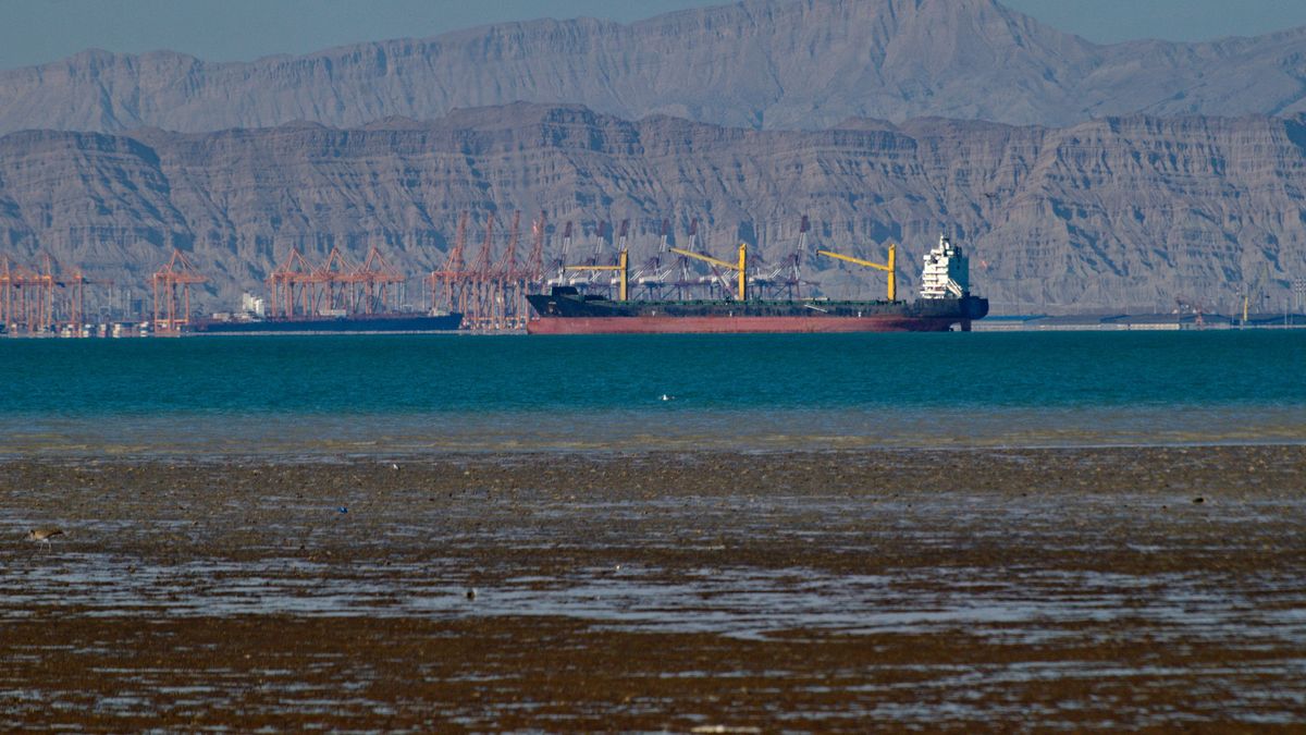 Large cargo ship at Shahid Rajai port from Dargahan in low tide from Qeshm island, Persian Gulf, Iran
Large cargo ship at Shahid Rajai port from Dargahan in low tide from Qeshm island, Persian Gulf, Iran
Germán Vogel
qeshm county, bandar-e dargahan, dargahan, market, oil, trade, strategic geolocation, shahid rajai port, islamic republic of iran, hormozgan, qeshm, travel destination