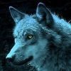 byron_wolf