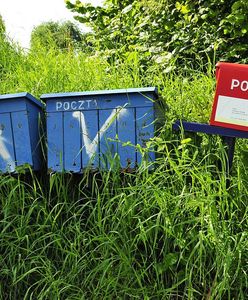 Głosowanie korespondencyjne. Czy mogę jeszcze zgłosić zamiar głosowania korespondencyjnego?