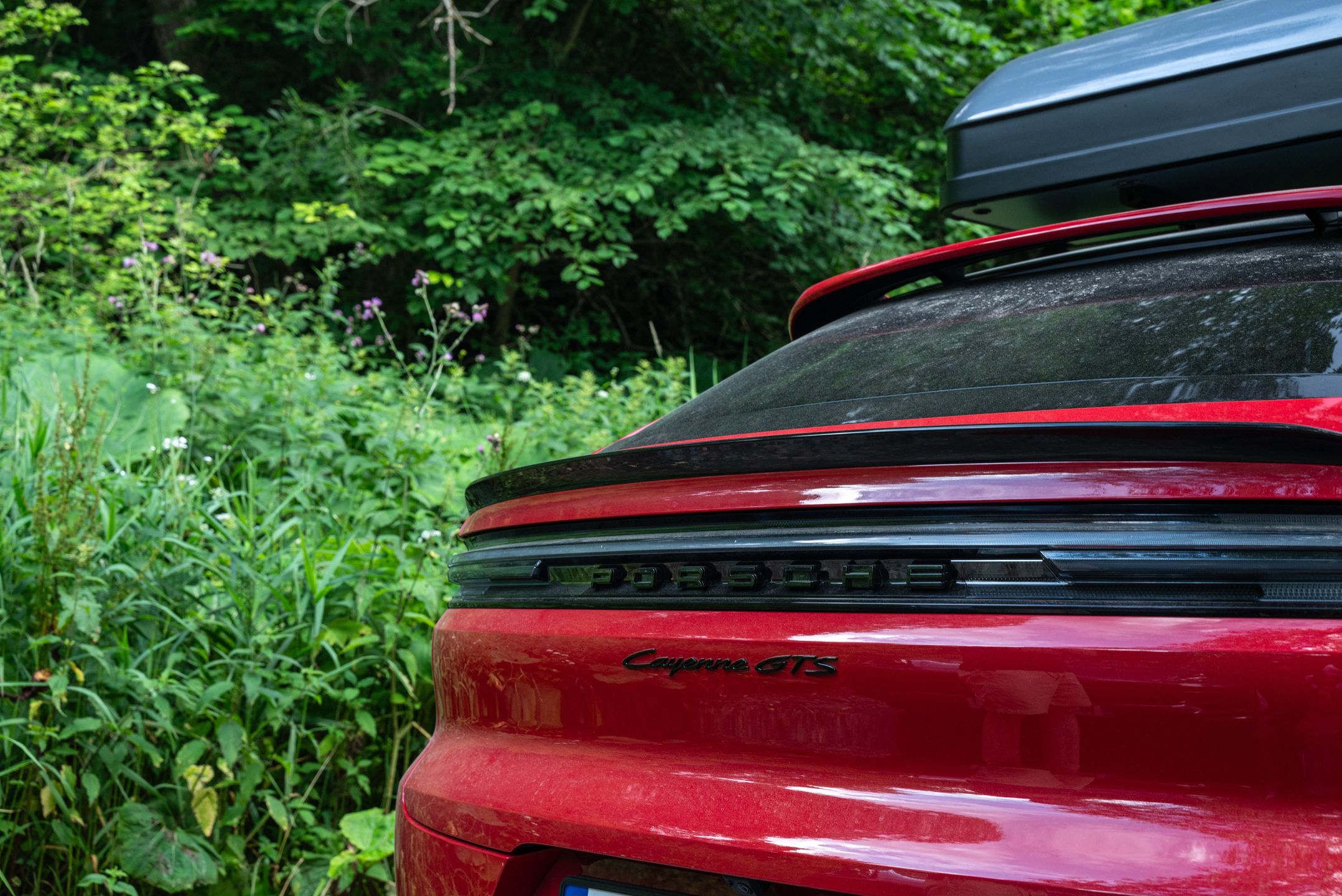 Porsche Cayenne w Bieszczady