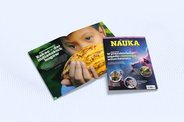grafika