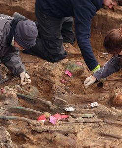 Odkrycie u naszych sąsiadów. Zdaniem archeologów to może być największy taki masowy grób